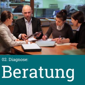 2. Projektphase: Diagnose - Beratung