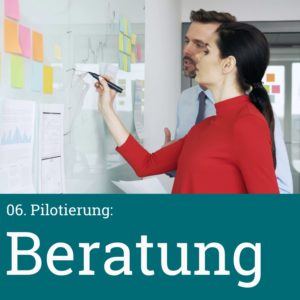 6. Projektphase: Pilotierung - Beratung