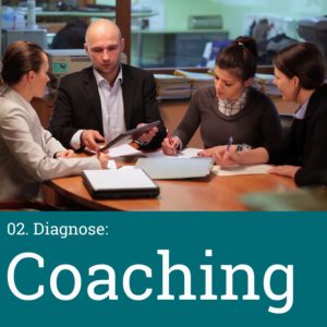 2. Projektphase: Diagnose - Coaching